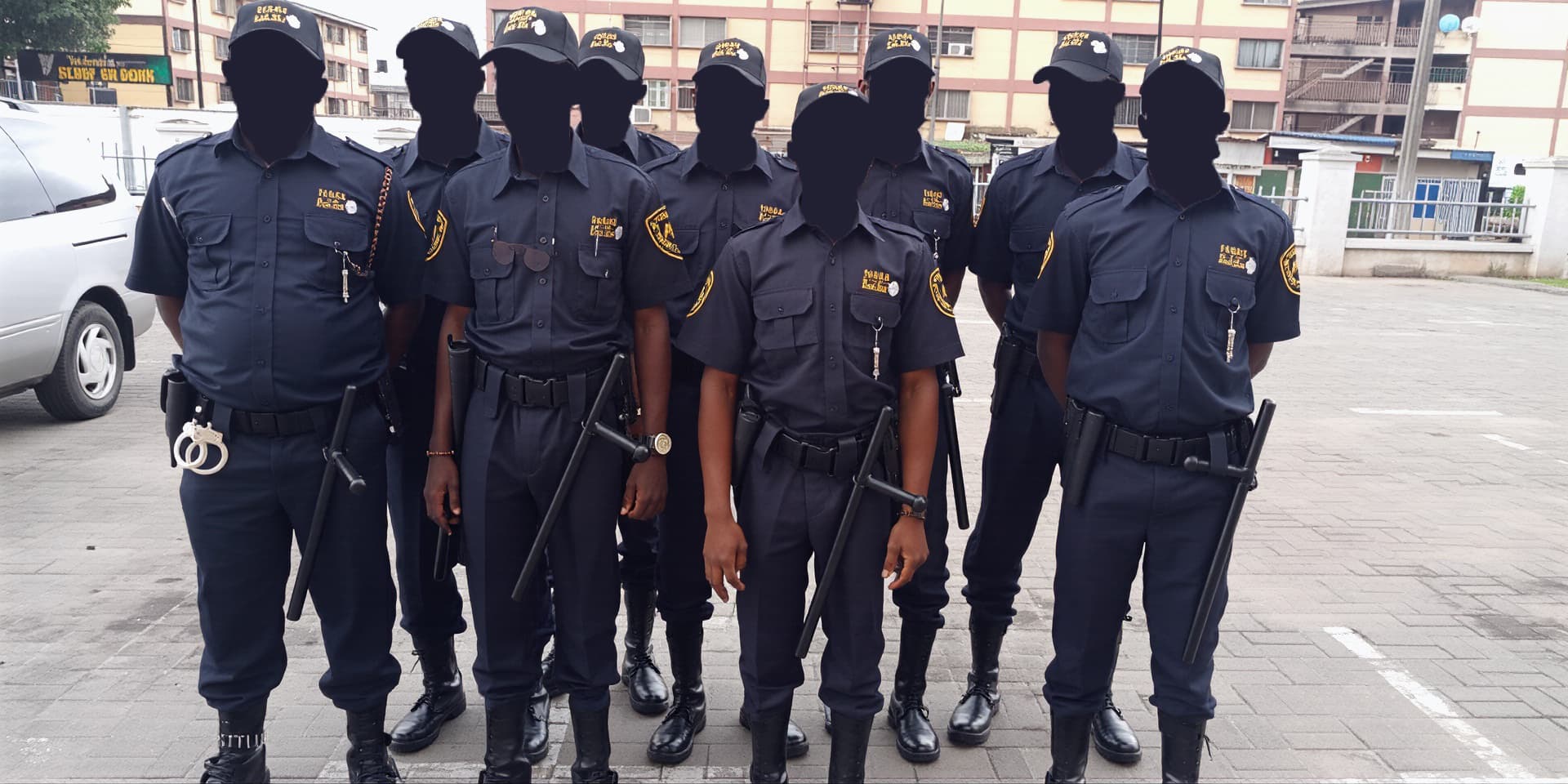 Professional Security Officer